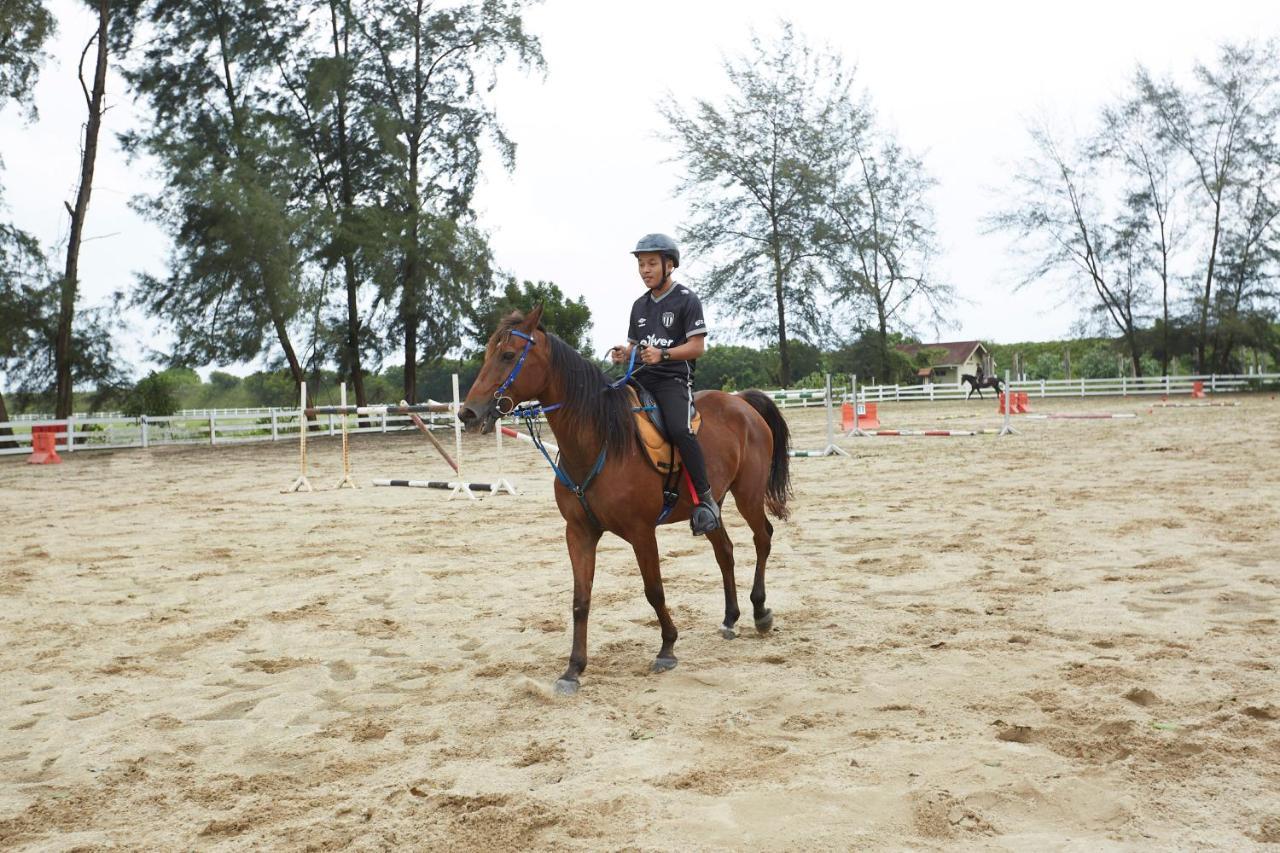 Terengganu Equestrian Resort Κουάλα Τερενγκάνου Εξωτερικό φωτογραφία