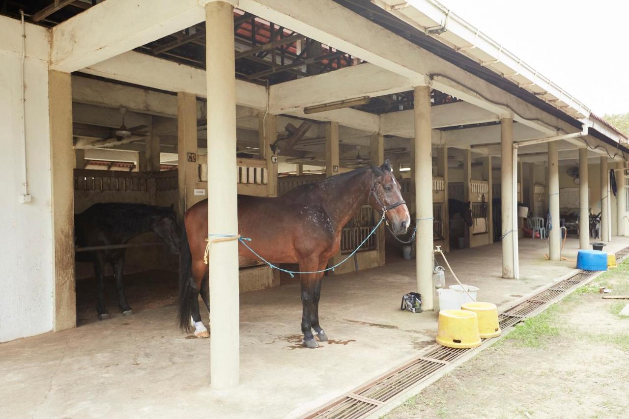 Terengganu Equestrian Resort Κουάλα Τερενγκάνου Εξωτερικό φωτογραφία